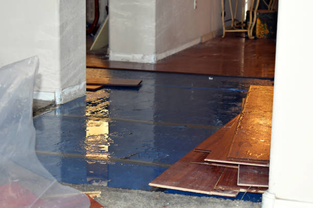 Professional Flood Damage Repair technician working in Venice, IL